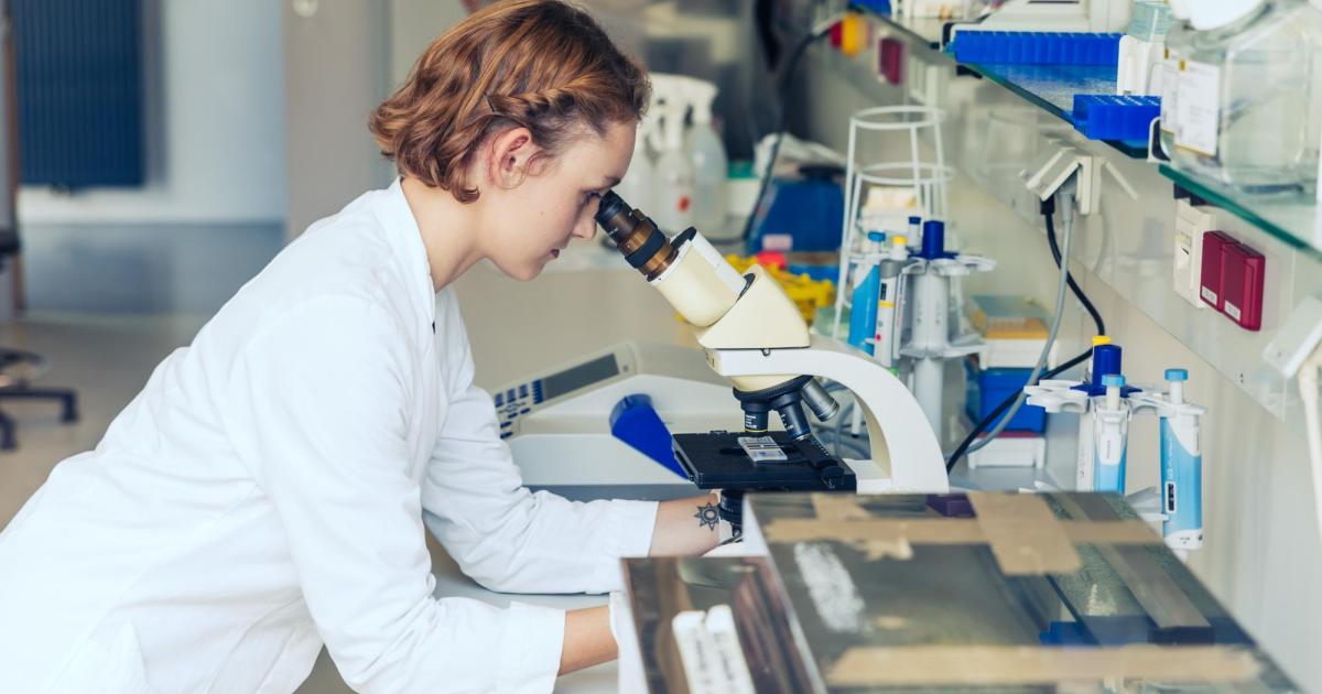 Forschung-ankurbeln-Fachhochschulen-in-N-fordern-Promotionsrecht