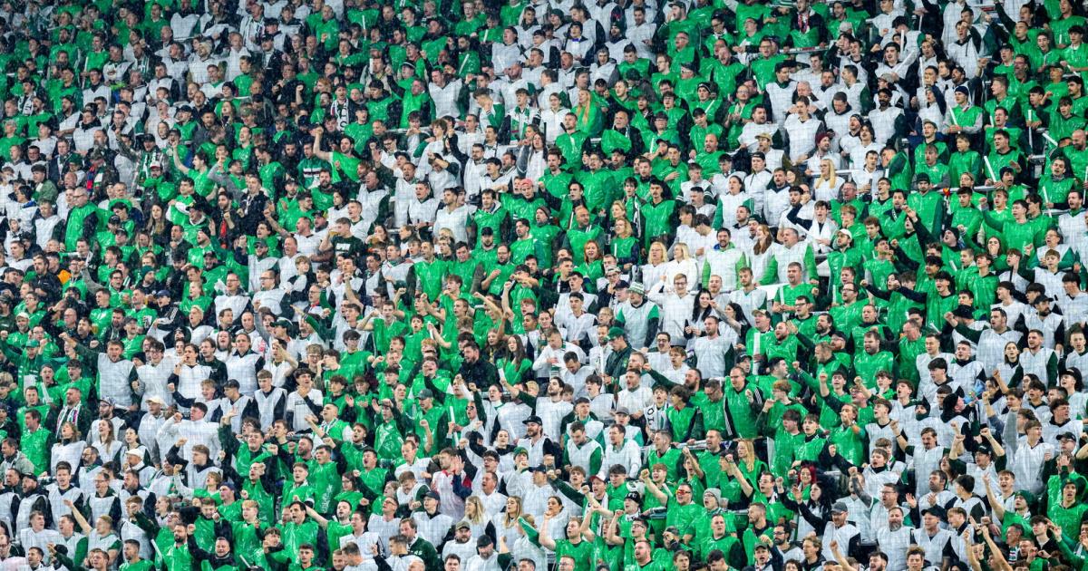 61-4-Millionen-Umsatz-Wie-es-bei-Rapid-nach-dem-Rekord-weitergeht