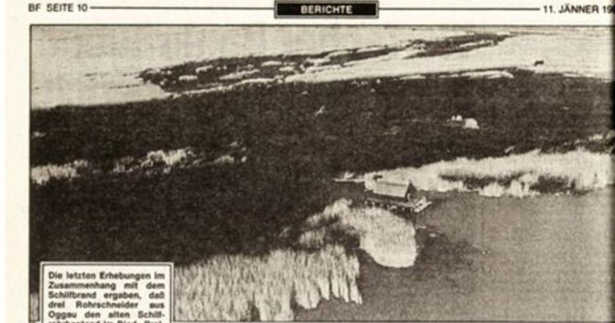 Wenn-das-Schilf-brennt-war-das-auch-damals-schon-ganz-recht