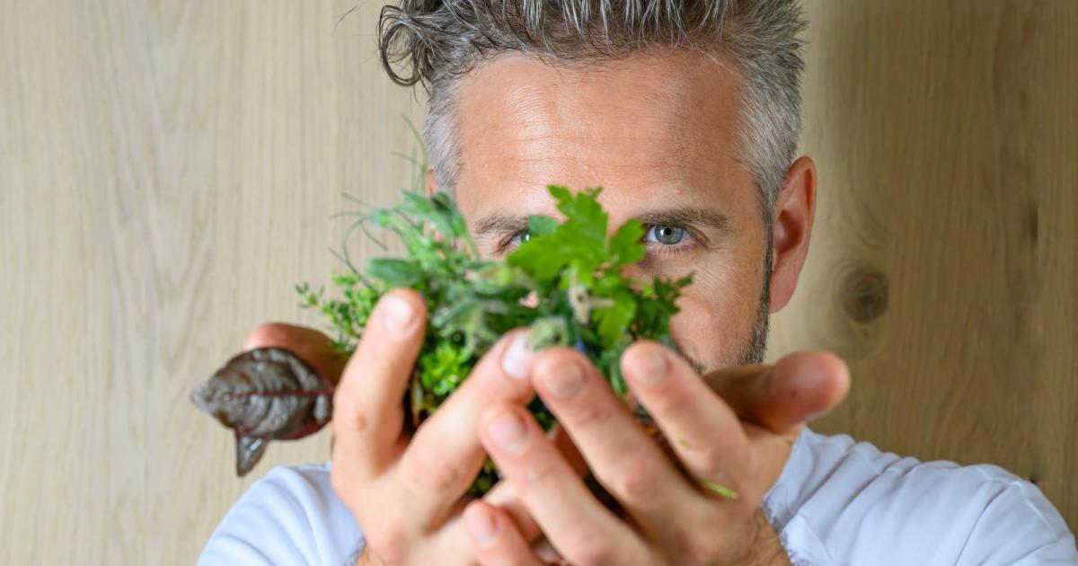 Gault-Millau-2026-Das-sind-sterreichs-Spitzenk-che-des-Jahres