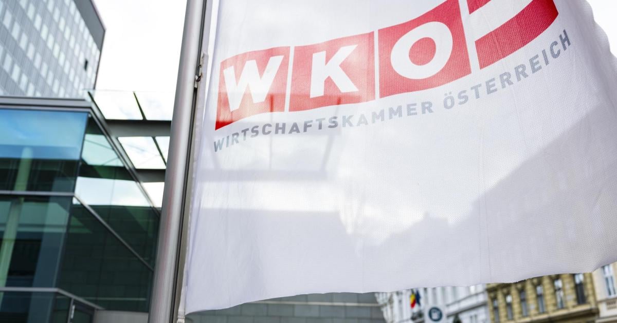 WKO-UNOS-fordern-umgehende-Wirtschaftskammer-Reform