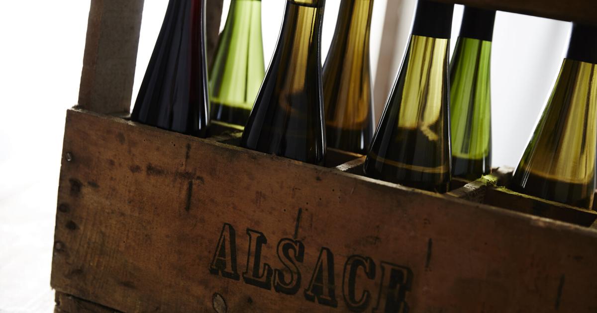 Elsass-Weine-im-Wandel-Biodynamik-und-die-Rolle-des-Pinot-Noir