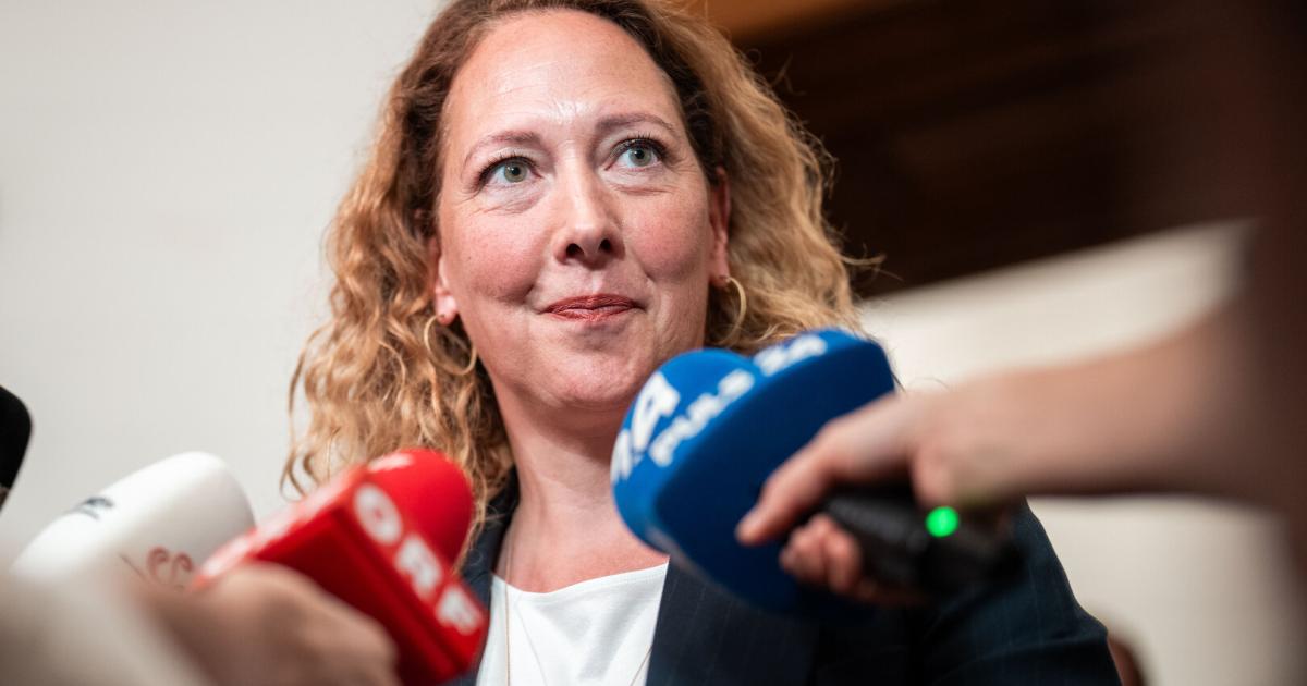 Gr-ne-warnen-Wien-k-rzt-bei-Behinderten-und-Suchthilfe