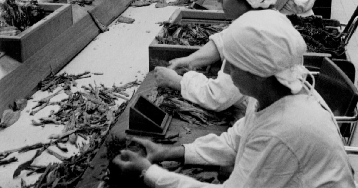 Rauch-und-Schall-90-Jahre-Linzer-Tabakfabrik