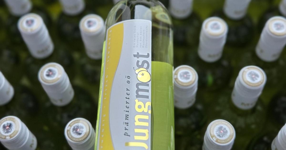 Most-aus-Ober-sterreich-Landess-ure-im-Aufschwung