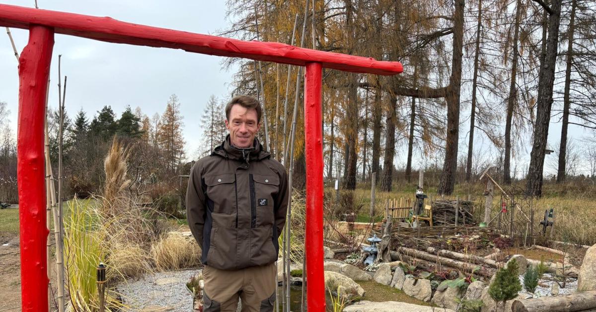 Arbeitsplatz-im-Gr-nen-Vom-AMS-in-den-japanischen-Garten