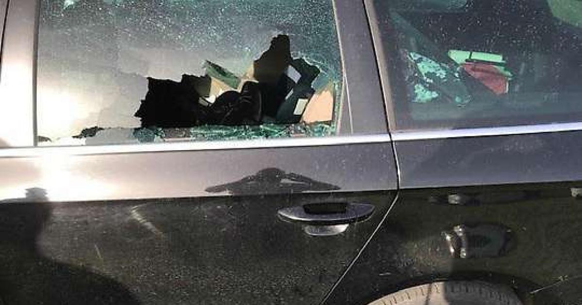 J-ger-in-N-trifft-Autos-statt-Wild-nun-bekommt-er-Waffen-zur-ck