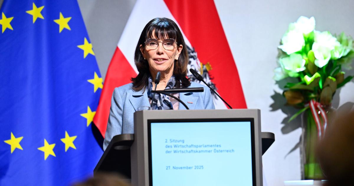 Interims-WKO-Chefin-Martha-Schultz-ber-Kammerumlage-Alles-offen-