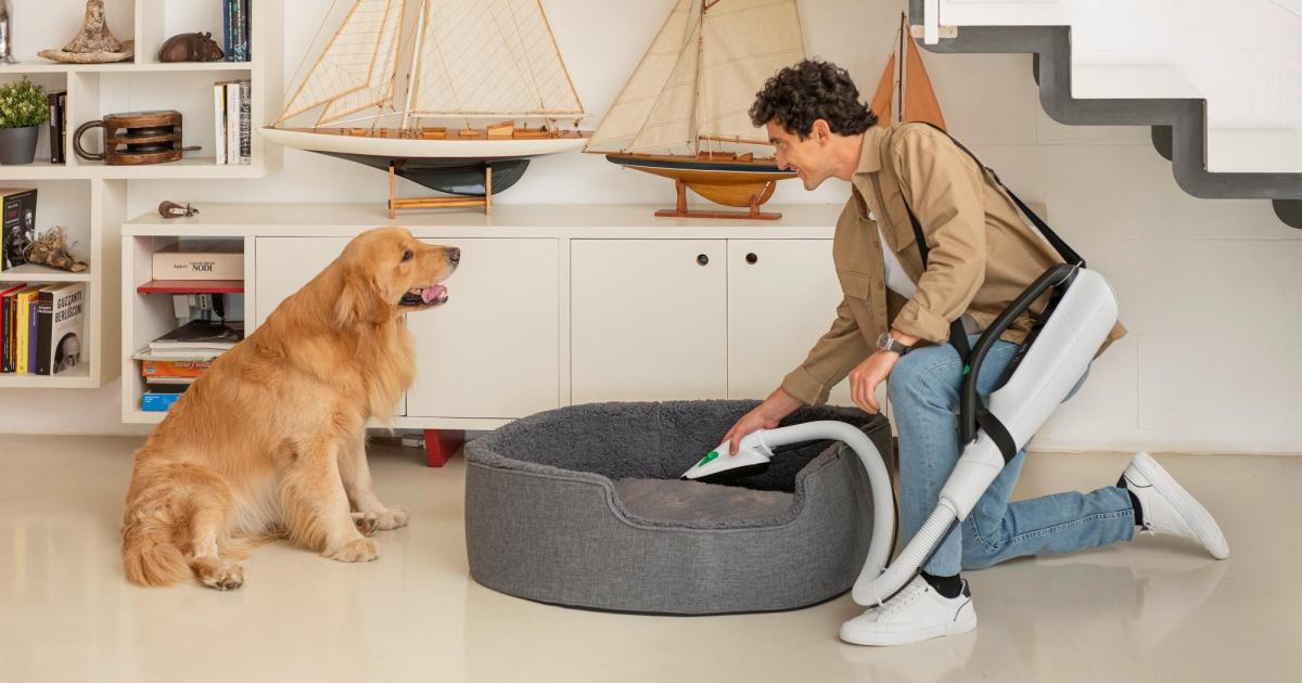 Matschige-Hundepfoten-im-Herbst-Mit-dem-Kobold-VK7-bleibt-es-drinnen-sauber