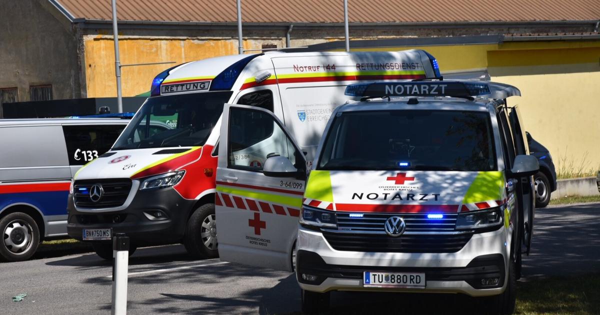 63-J-hrige-half-Todessch-tzen-die-Tatwaffe-zu-kaufen-Bedingte-Haft