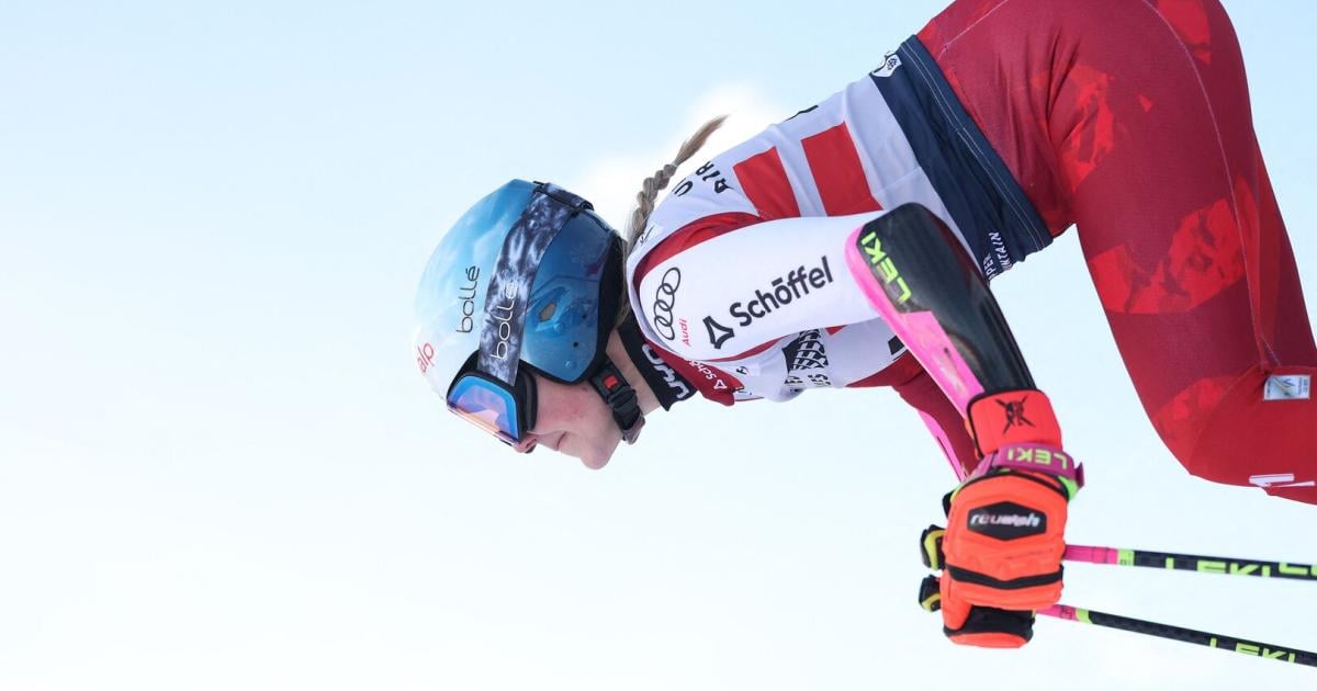 Heimliche-Siegerin-von-Copper-Mountain-SV-Talent-erh-lt-10-000-Dollar