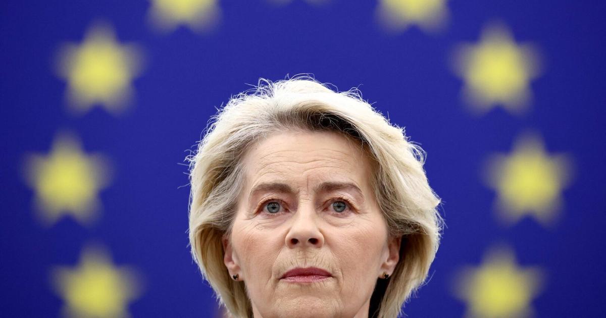 Sollte-sich-die-EU-wirtschaftlich-wehren-Das-ist-ein-Systemkrieg-