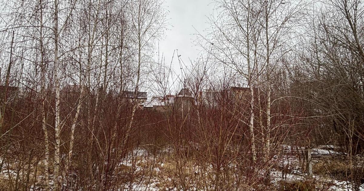 Neue-Perspektiven-f-r-das-Hahn-Gel-nde-im-Zwettler-Ortskern