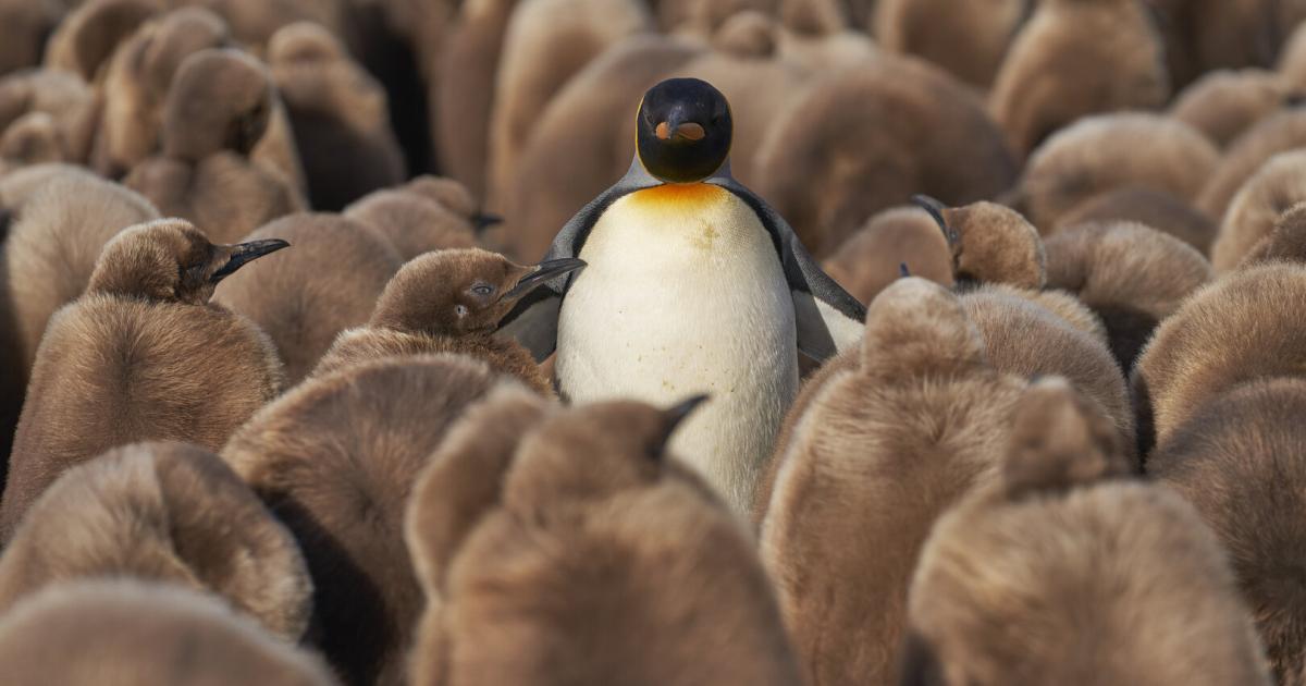 Die-Macht-der-N-he-Warum-wir-einander-brauchen