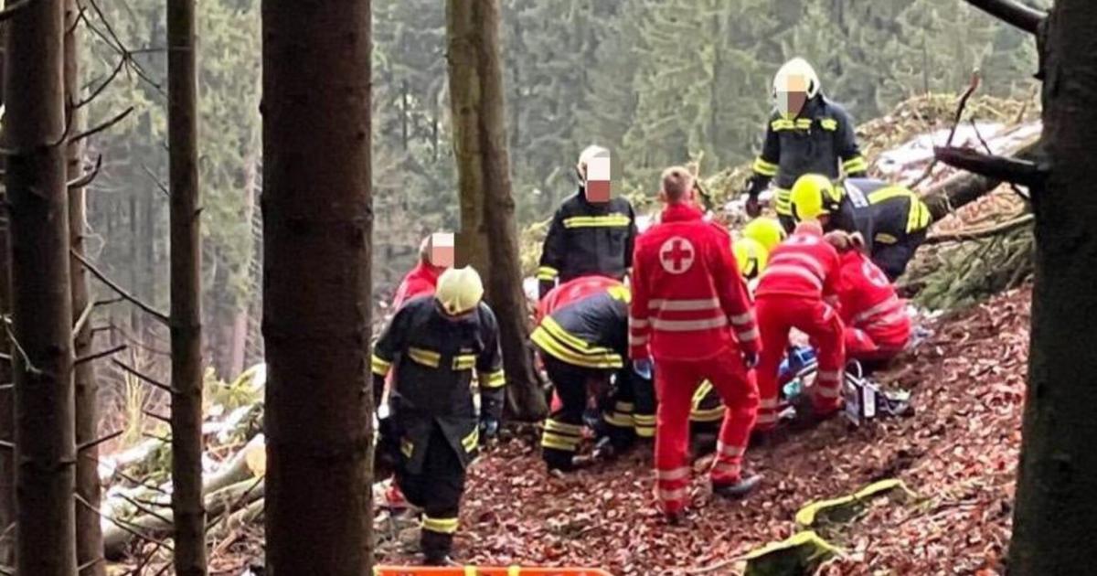 Rettungseinsatz-nach-Forstunfall-in-steilem-Waldst-ck-bei-Neustadtl