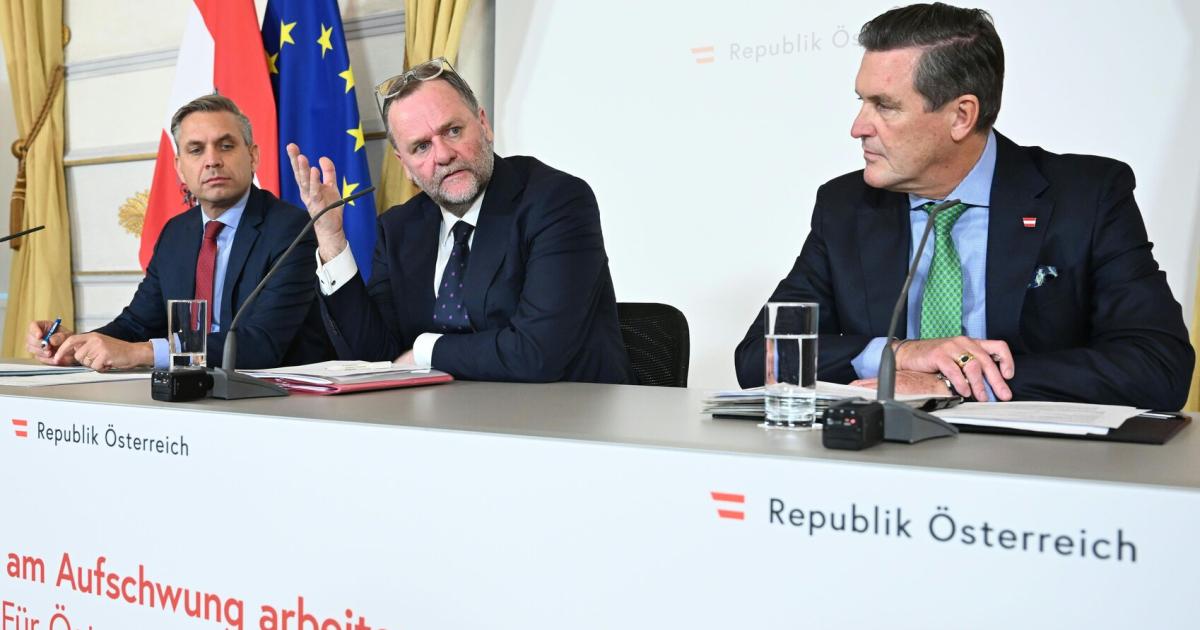 Schellhorns-113-Kieselsteine-Welche-Ma-nahmen-die-wichtigsten-sind