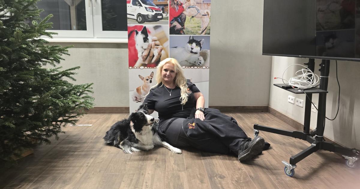 Freiwilligkeit-im-Tierschutz-Wenn-wir-nicht-helfen-wer-tut-es-dann-