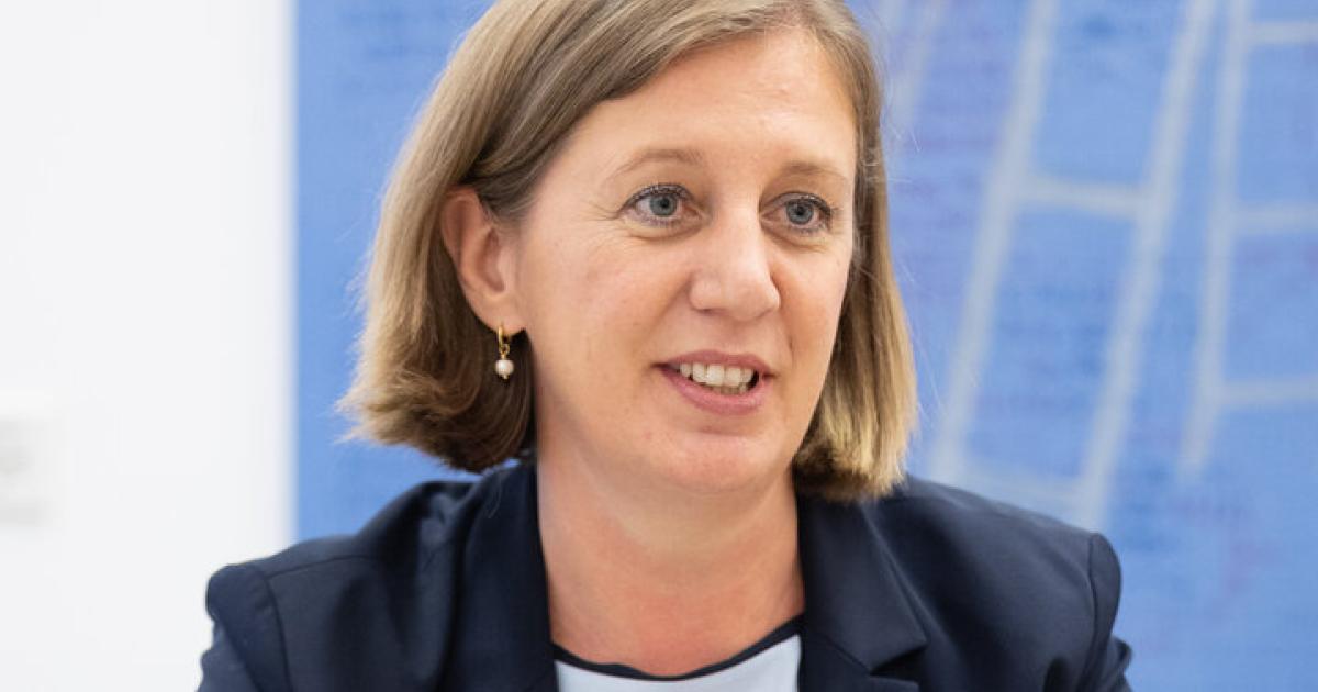 Steuererh-hung-Eibinger-Miedl-ist-gegen-neue-Belastungen-f-r-B-rger-