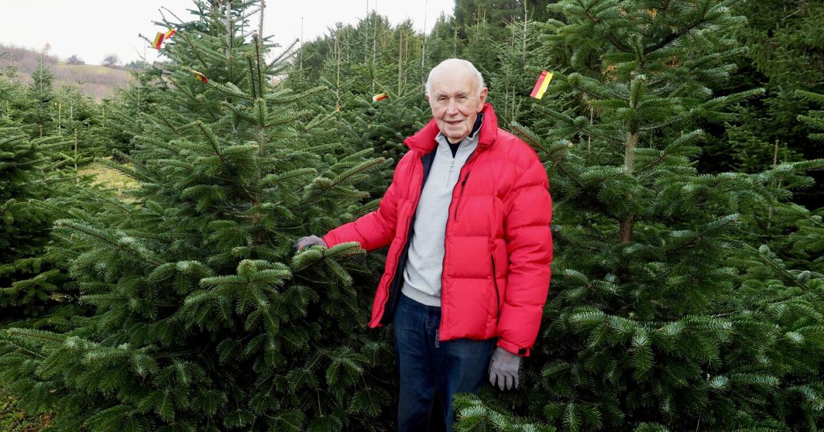 Josef-Schmidt-vom-Landesrat-zum-Christbaumprofi-im-Burgenland