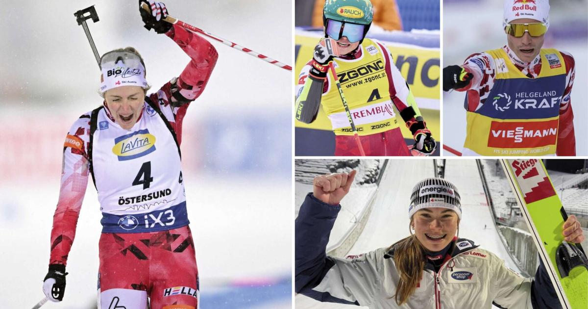 Siege-am-laufenden-Band-Der-SV-befindet-sich-im-Hoch