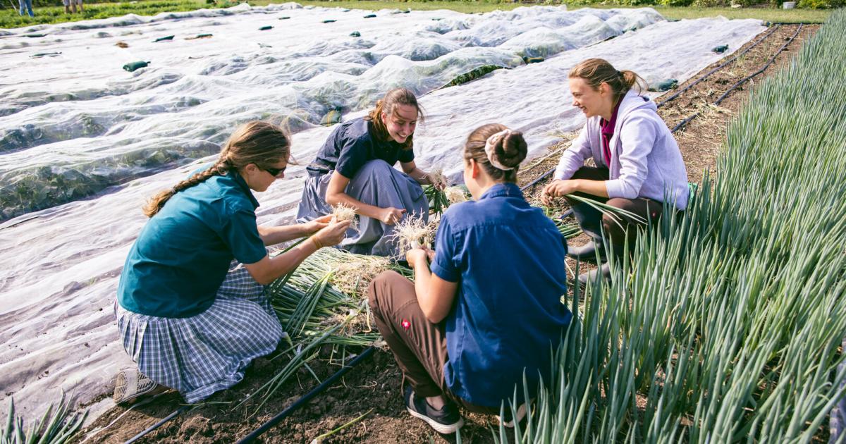 Gutes-vom-Gutshof-Der-Bruderhof-und-seine-nachhaltige-Landwirtschaft