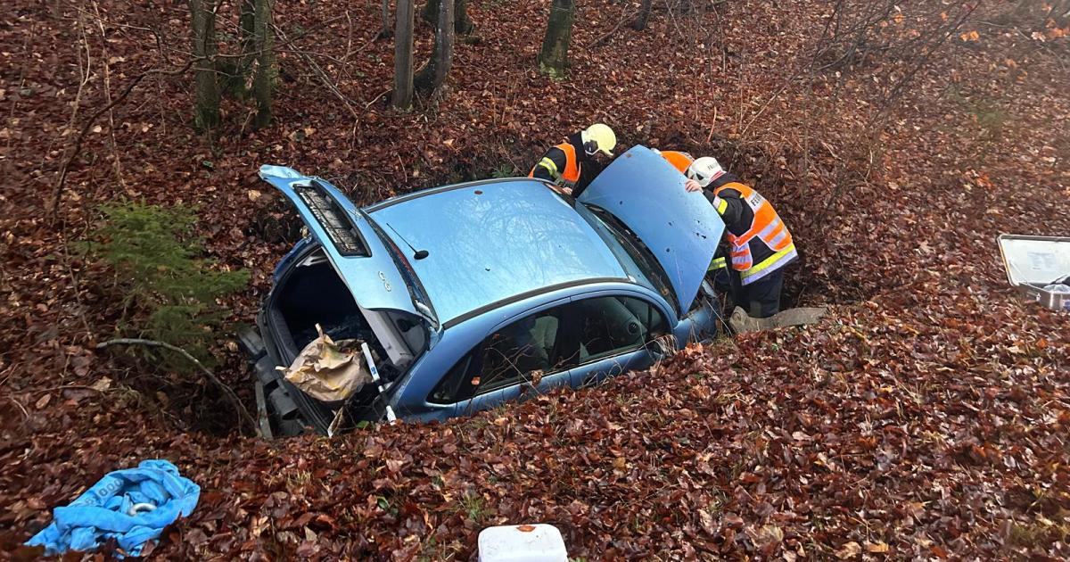 Lenkerin-verlor-im-Nebel-die-Orientierung-und-landete-im-Graben