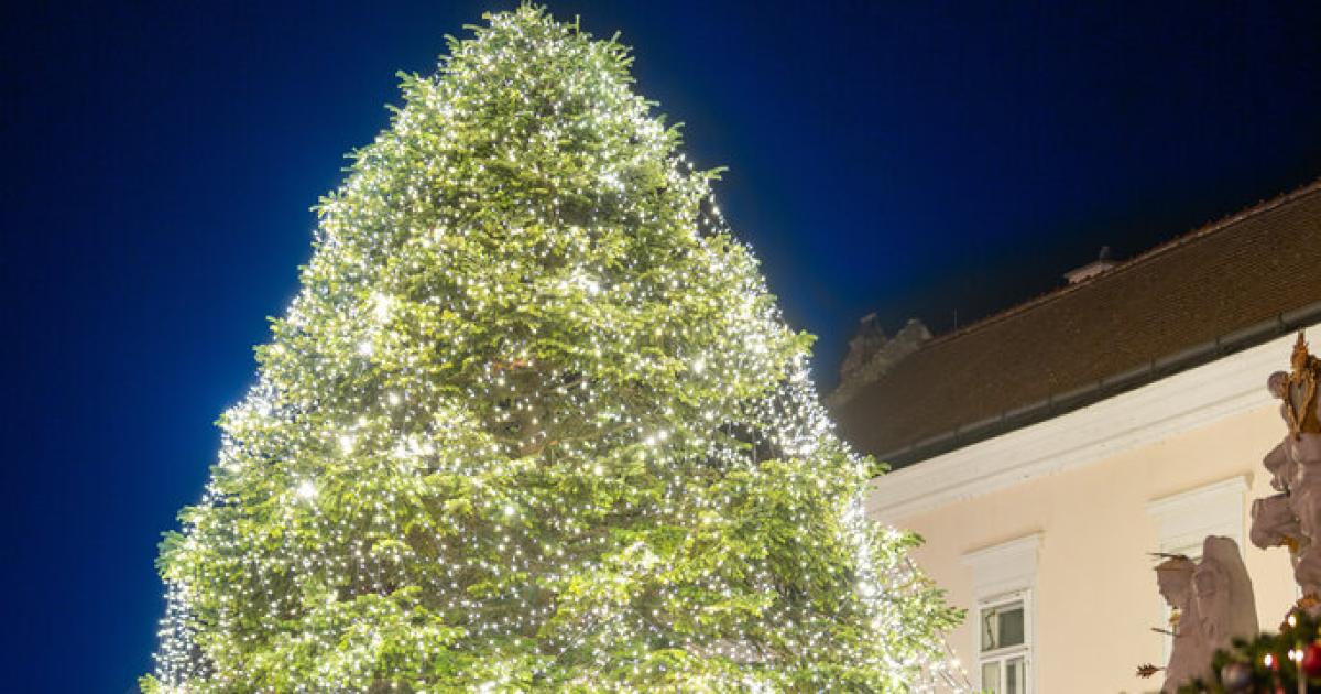 Weihnachtsstimmung-pur-Eisenstadt-hat-den-sch-nsten-Baum