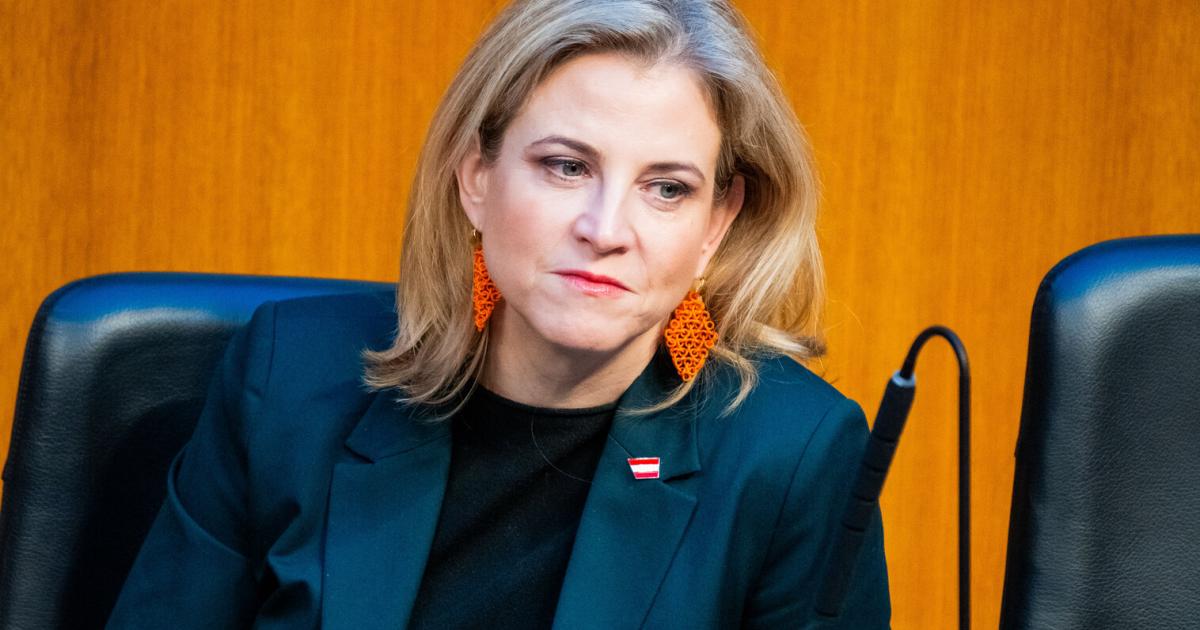 US-Sicherheitsstrategie-im-Nationalrat-Neos-sehen-FP-als-Handlanger-Putins-