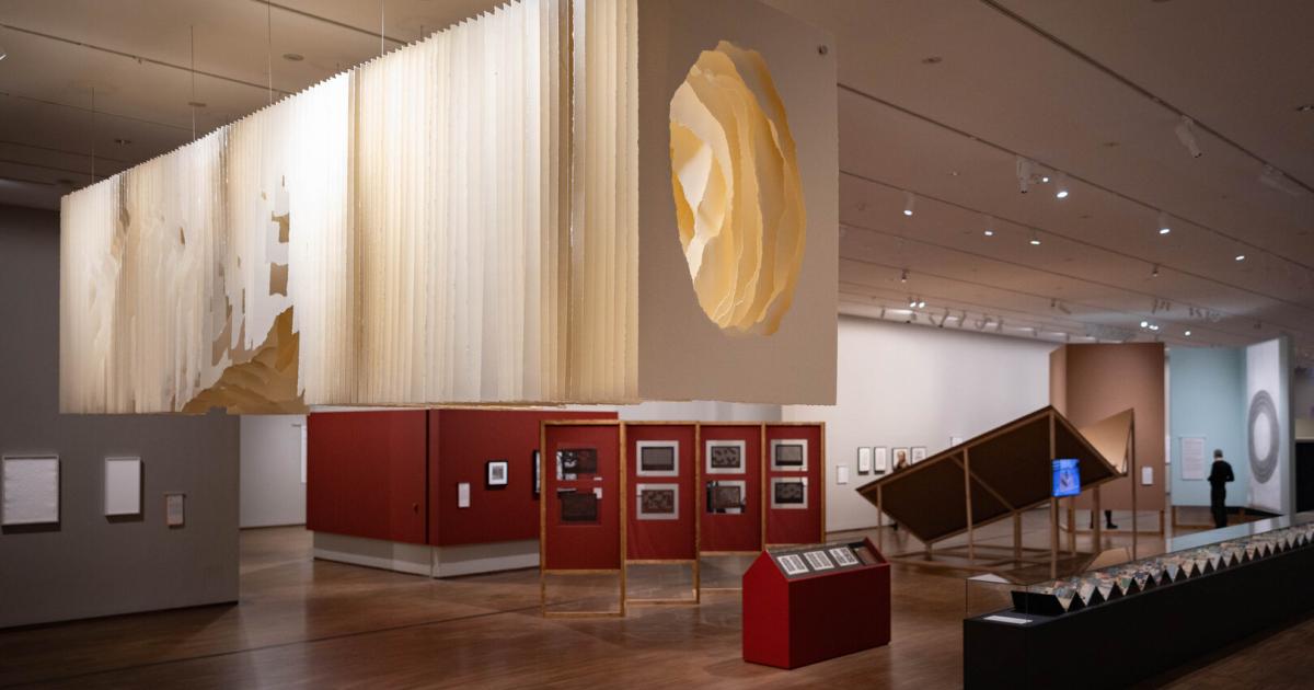 Schneiden-Zeichnen-Falten-Albertina-l-sst-bei-Ausstellung-mitspielen