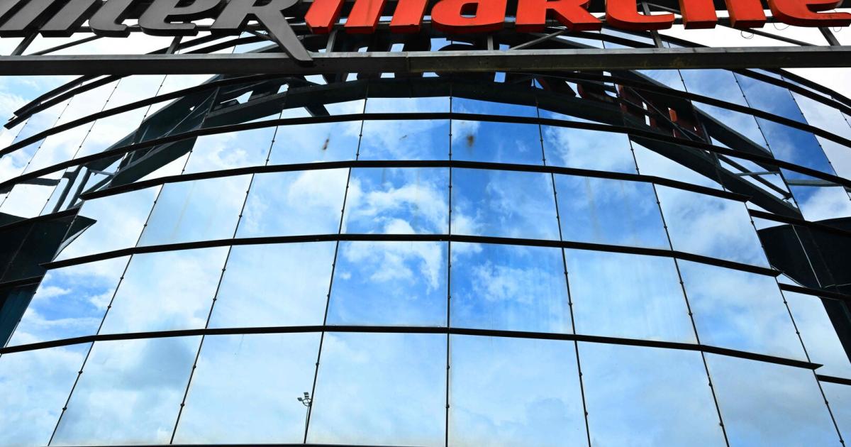 Internet-Hit-Veggie-Wolf-aus-Werbung-geht-viral