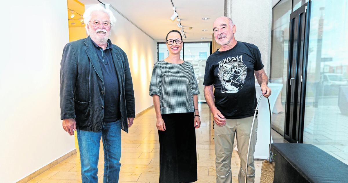 Galerie-Traun-Von-Cinema-Drops-bis-zur-Bogenharfe