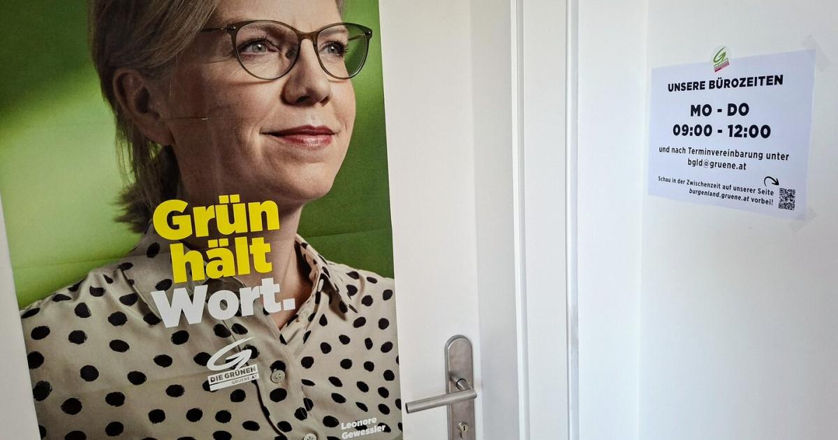 Gr-ne-Landespartei-sucht-eine-neue-Bleibe