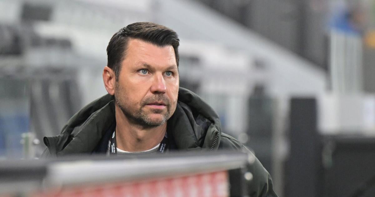 -nderungen-in-der-Rapid-Krise-Was-der-k-nftige-Trainer-sehen-konnte