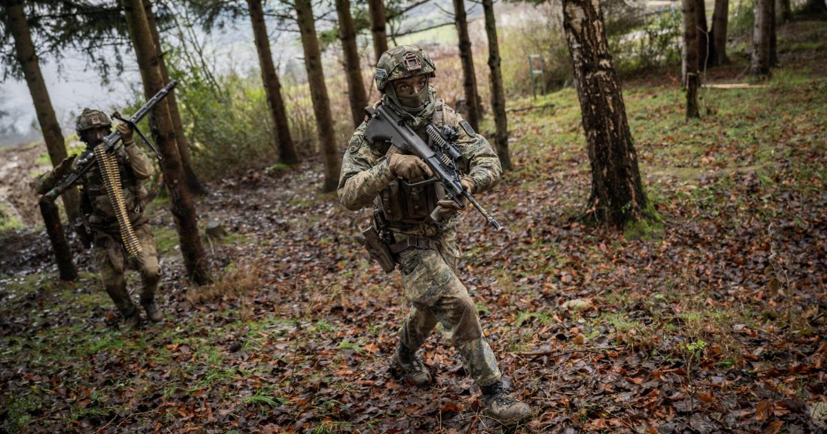 Wehrdienst-in-sterreich-Die-gro-en-H-rden-f-r-eine-Verl-ngerung