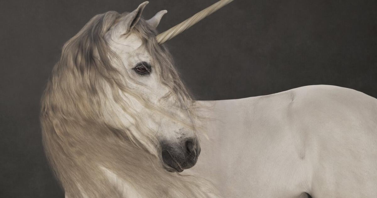 Ein-Horn-f-r-die-Kunst-neuer-Hype-um-das-Fabeltier