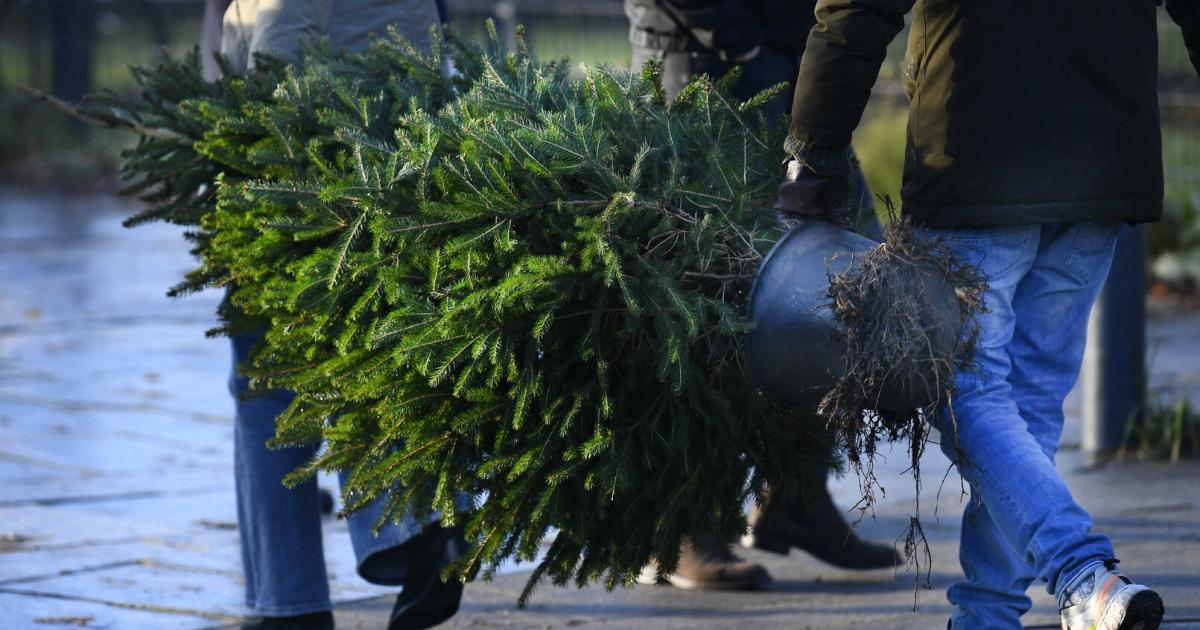 D-fte-und-Ger-che-So-riecht-Weihnachten