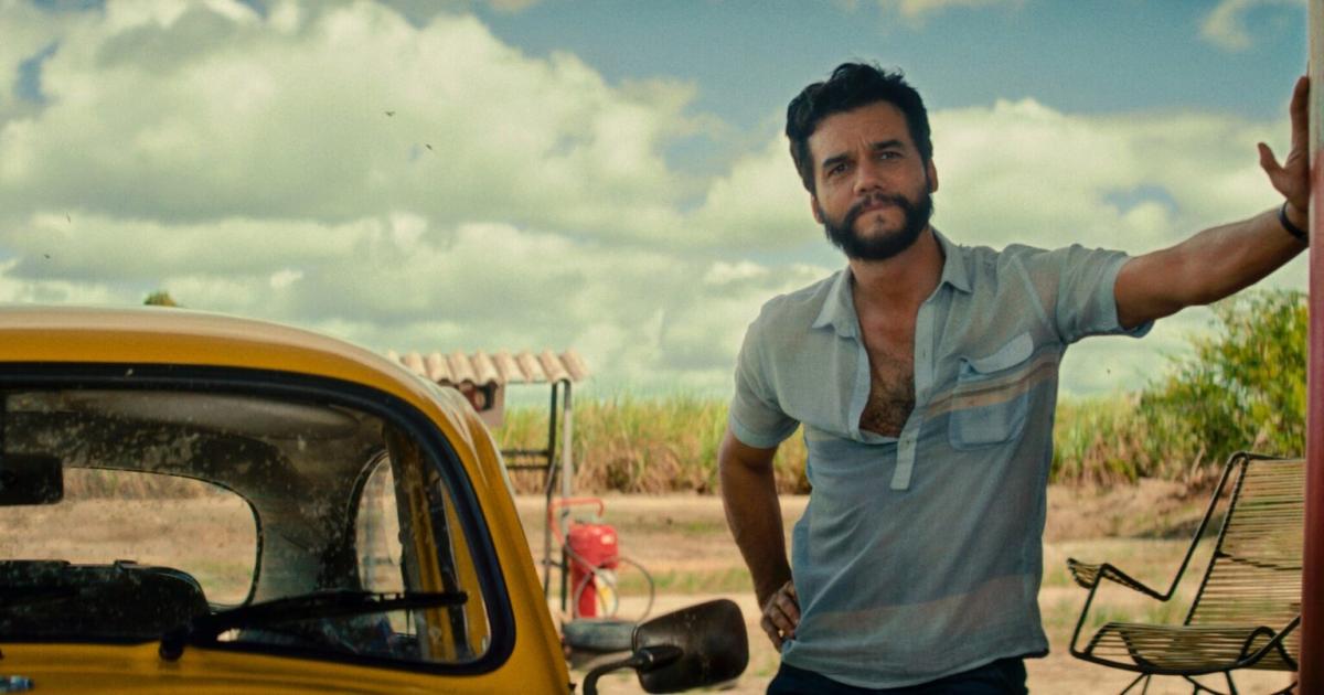 Brasiliens-Oscarbeitrag-Ein-Tritt-mit-dem-haarigen-Bein