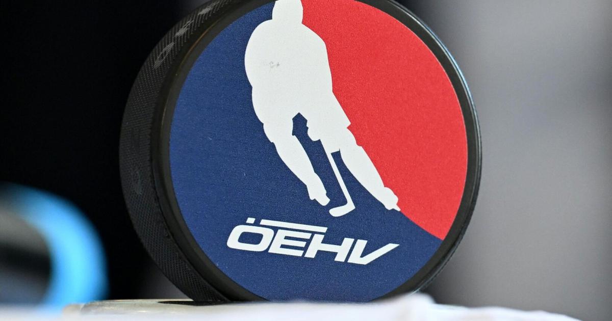 der-n-chste-r-cktritt-weiterhin-unruhe-im-eishockeyverband