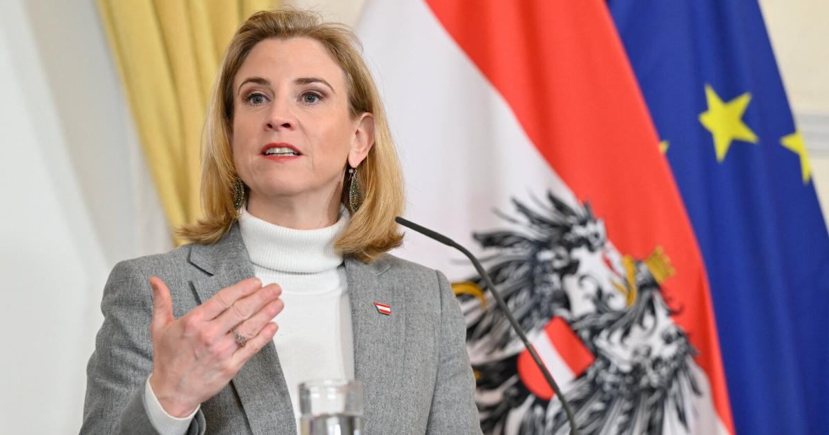 Meinl-Reisinger-kritisiert-Posting-VP-st-t-Muslime-vor-den-Kopf-