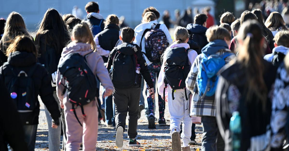 Wie-sich-unser-Alltag-in-Wien-2025-in-Zahlen-darstellen-l-sst