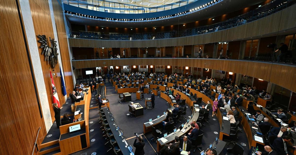 Wie-Mathe-und-Englisch-Demokratie-muss-in-der-Schule-ein-Hauptfach-werden-