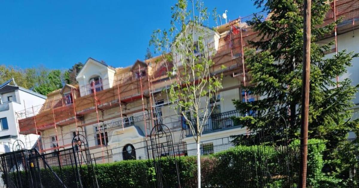 Posse-in-Ottakring-Baum-weg-Baum-hin-Baum-weg