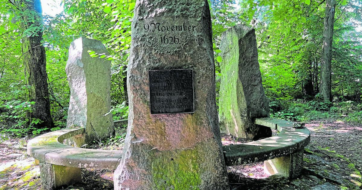 Mit-Sensen-f-r-die-Freiheit