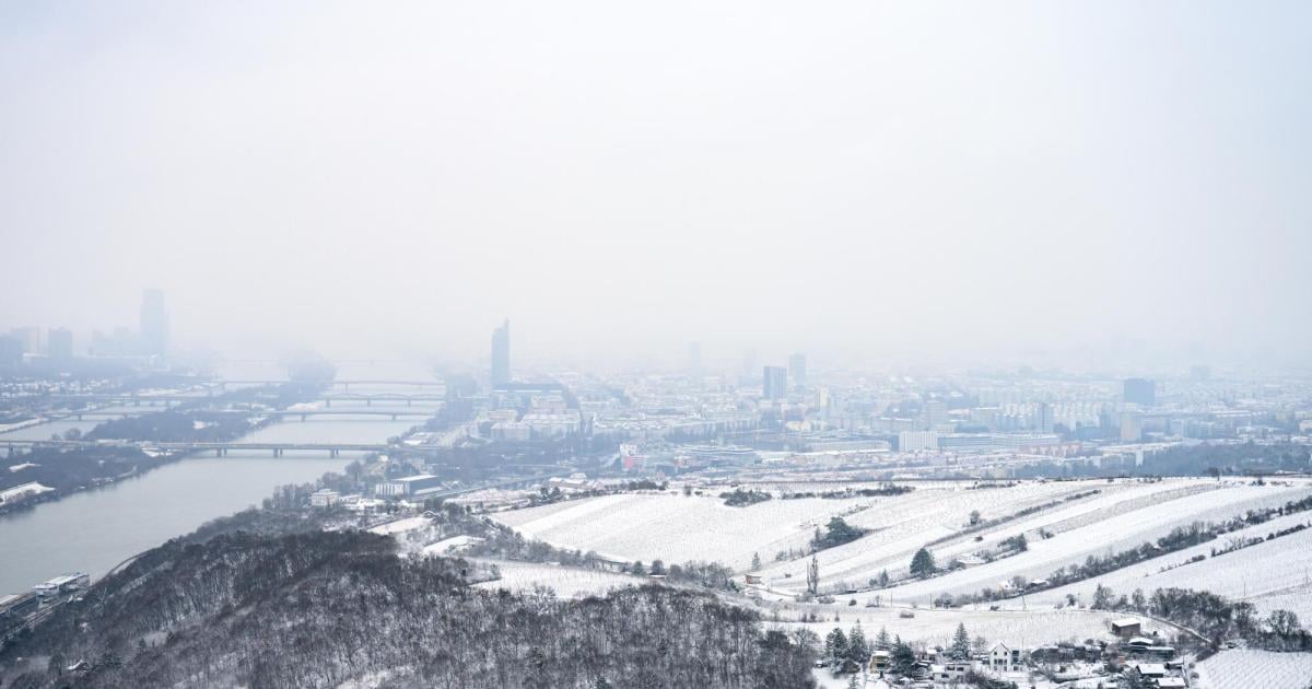 Wei-e-Weihnachten-Die-besten-Bilder-vom-verschneiten-Wien