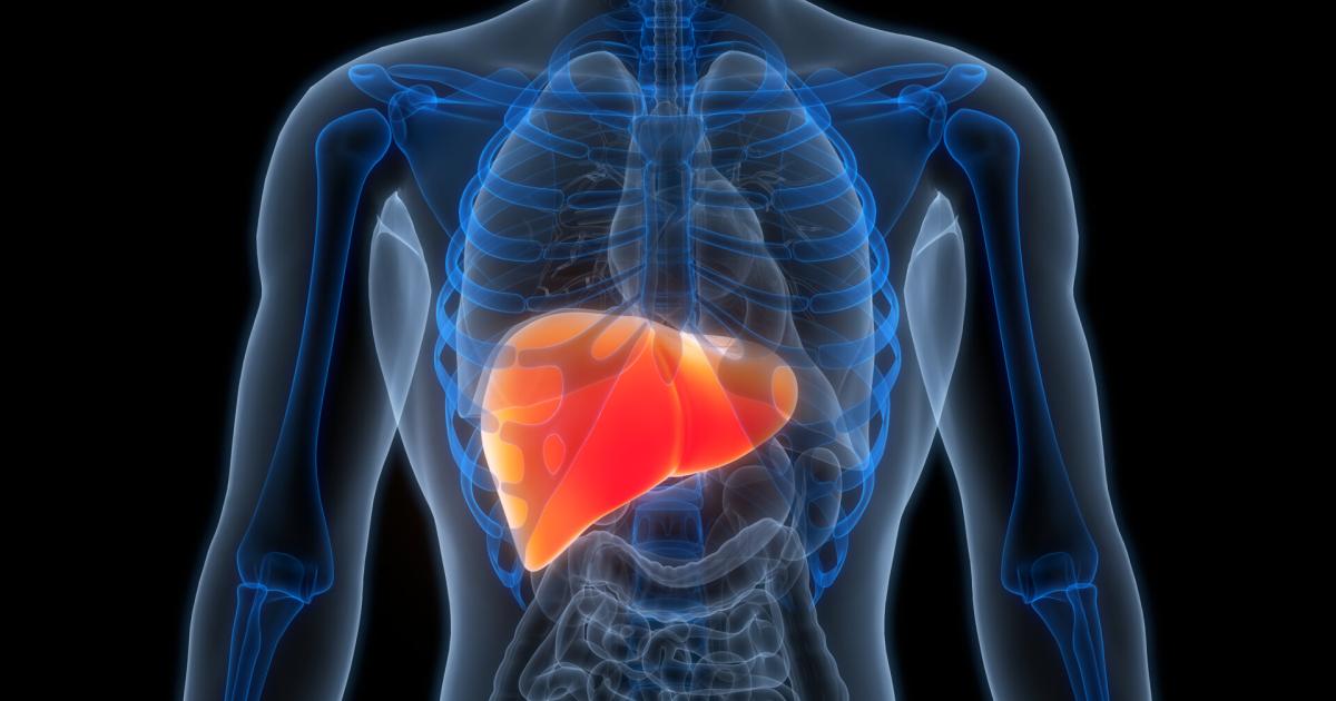 Fettleber-die-stille-Volkskrankheit