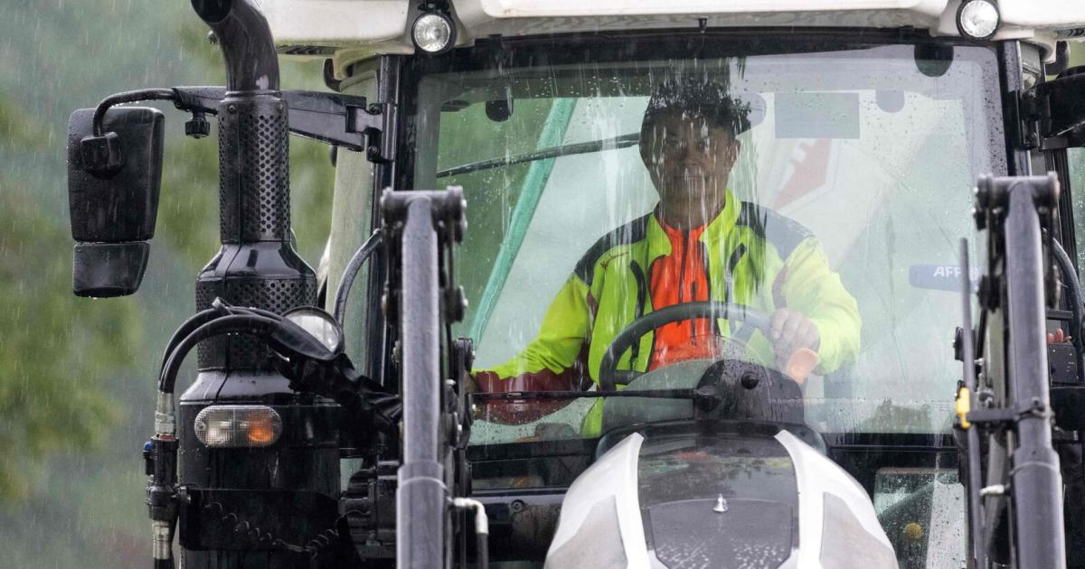 Alarmierend-Fast-jeder-zweite-Landwirt-in-sterreich-hat-psychische-Beschwerden