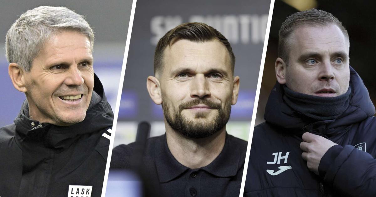 Die-Bundesliga-Trainer-Neubesetzungen-auf-dem-Schleuderstuhl