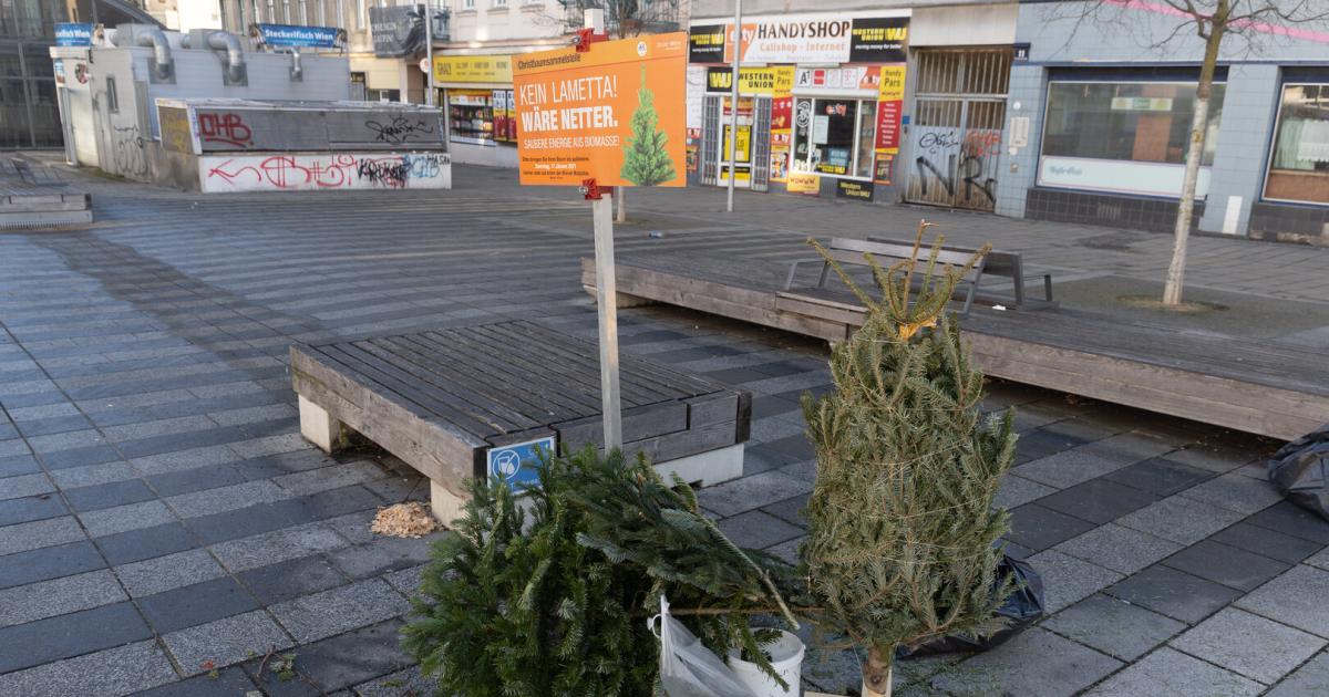 Wohin-mit-dem-Christbaum-nach-den-Feiertagen-