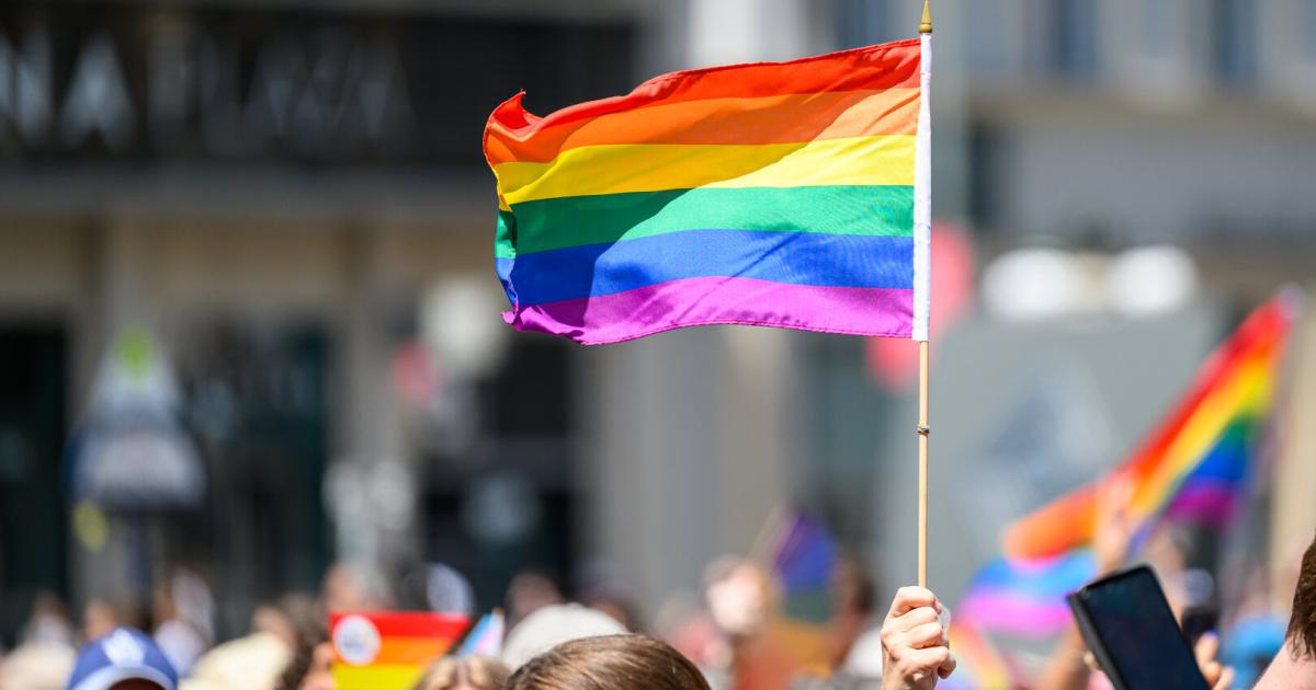 Pride-Month-Der-Feldzug-der-FP-gegen-den-Regenbogen