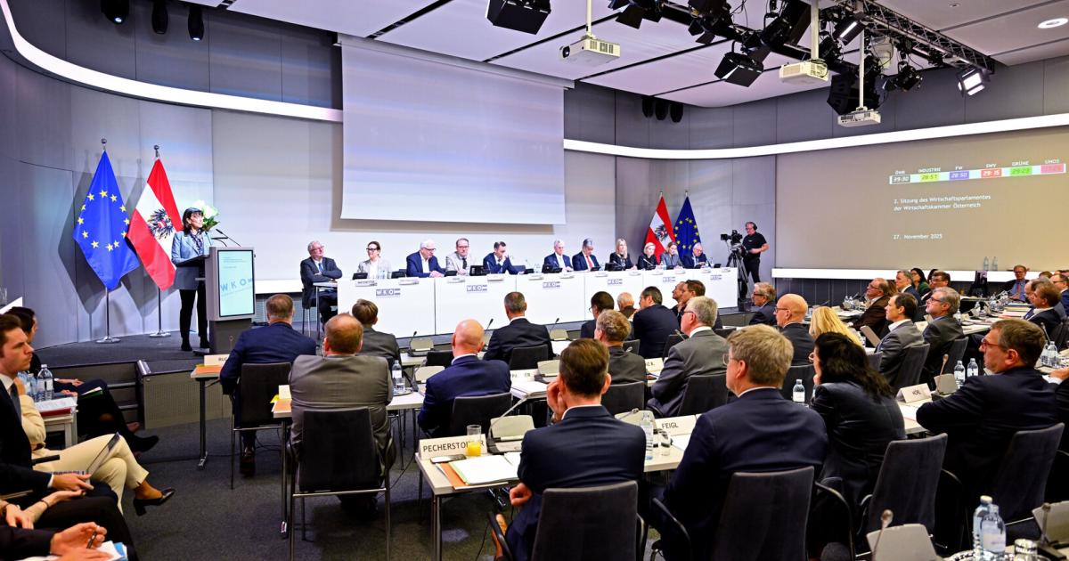 Wie-eine-echte-WKO-Reform-aussehen-sollte